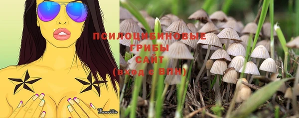 MDMA Premium VHQ Лагань